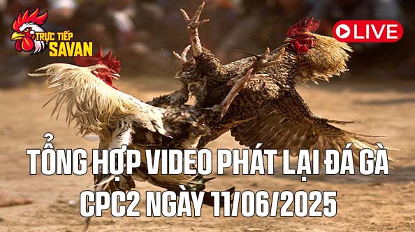 Tổng Hợp Video Phát Lại Đá Gà CPC2 Ngày 11-06-2025 của tructiepsavan