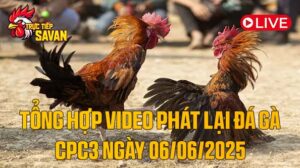 Tổng Hợp Video Phát Lại Đá Gà CPC3 Ngày 06-06-2025 của tructiepsavan